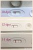2E84DAC1-43E1-46C2-A011-4B02E077F828.jpeg
