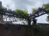 18221096-6D23-4242-BFED-0275C436EE4B.jpeg