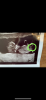 AAE69412-A5F9-45F5-9715-0129C1B3C4E6.png