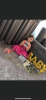 641ED8F9-F98B-4446-8C53-9E6CF7E84277.png
