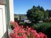 2012-08-18 15.11.02.jpg