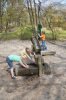DSC05534.jpg