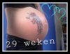29weken.jpg