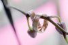thuis04132012_095.jpg