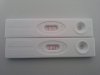 20130511_120910.jpg