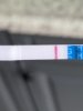 077F083C-A679-4F9C-BFFE-69D2D3FC2D12.jpeg