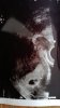 WhatsApp Image 2021-05-27 at 16.12.53.jpeg