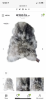 3BE01D04-8776-485B-86F4-4D0FC948D8E6.png