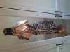 20210530_094754.jpg