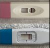 5FDA9C0B-34F9-494B-8D03-F546200D4AD5.jpeg