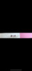C737E403-C0F1-4E66-A1B2-7307E944343C.png