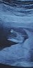Screenshot_20210611-102223_Gallery.jpg