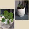 CollageMaker_20210612_183159286.jpg