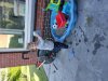 IMG_20210613_075704.jpg