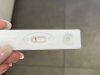 28D36004-B7BD-4BAA-9F42-2111D1F037CF.jpeg