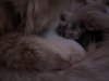 248C4BEB-4664-4F8C-BD73-0192F6DD6C47.jpeg