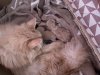 EED820FE-F703-43CD-B79C-1CA68BCC3312.jpeg