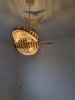 IMG-20210617-WA0017.jpg