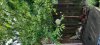 20210618_160544.jpg