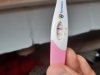 20210620_072407.jpg