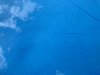 D76904D9-4ADD-4940-AEC5-A73978BD7649.jpeg
