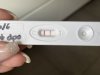 868B907F-D395-4BD2-BE26-984FEF6112AA.jpeg