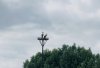 744ECCA1-342E-4224-8A22-B23113755ED6.jpeg