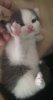 Screenshot_20210628-203702_Gallery.jpg