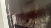 D38EE26B-CBC1-4293-AC49-882332ED422C.jpeg