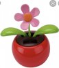 Screenshot_20210702-102456_Google.jpg
