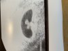 88D30454-40B9-4AA6-AAE0-46B47730DE69.jpeg