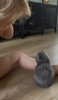 BCD41DAE-D7FF-4453-9D9B-F640135BD072.jpeg
