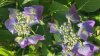 B22FC801-85EE-4838-A3C5-DA3DD8B03109.jpeg