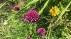 31CA1466-731C-45DE-9F34-E1C15C8F3B31.jpeg