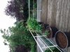 20210713_213555.jpg