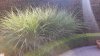20210719_091019.jpg