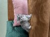 19AEAF29-855E-48E8-90FC-7240EEA716C3.jpeg