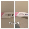 81359CEA-ADDD-4CAD-A56E-3722180FE0C6.jpeg