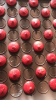CFC49A97-A85B-467A-814A-DE664661BE59.png