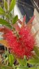 93D30445-D1A9-4A1F-BED2-A42CE28CA834.jpeg