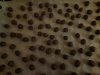 20210606_174139.jpg