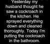 Cockroach.jpg