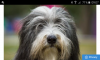 Screenshot_2021-08-02-09-07-23.png