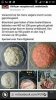 FB_IMG_1490459906545.jpg