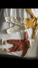37201E36-9D09-4C05-8BD5-8E02369217B3.png