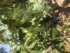 489AF59B-A0EA-4E71-B22D-2BFAA89068E9.jpeg