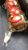 AB9BE1F4-9D0C-4A50-9B90-E723CB030C13.png