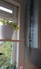 _20210817_180423.JPG