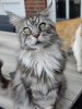 IMG_20210505_170226_Bokeh.jpg