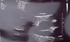 D3F68C0E-3FA2-4F9F-91B5-F66AC044E296.jpeg